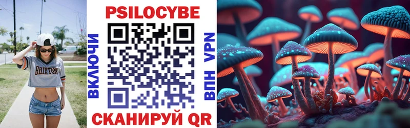 Купить  Верхняя Пышма  Псилоцибиновые грибы Psilocybine cubensis 